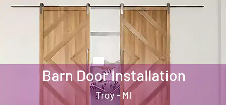  Barn Door Installation Troy - MI