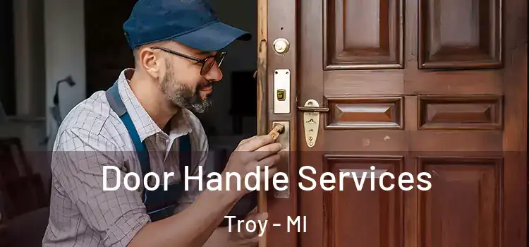  Door Handle Services Troy - MI