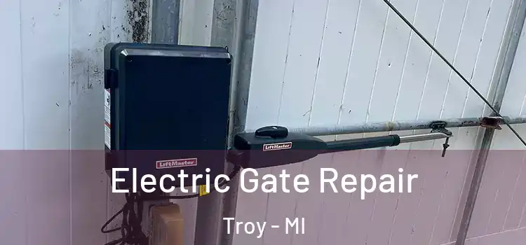Electric Gate Repair Troy - MI