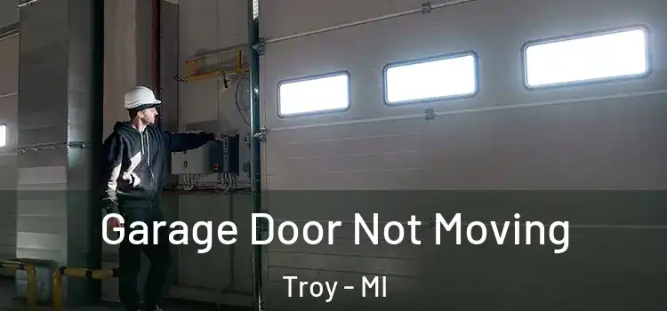  Garage Door Not Moving Troy - MI