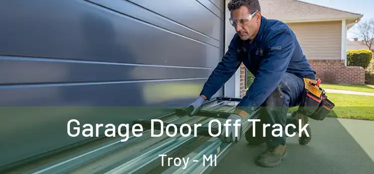  Garage Door Off Track Troy - MI