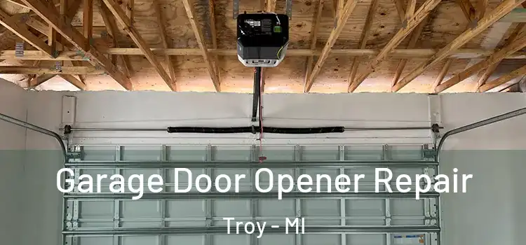  Garage Door Opener Repair Troy - MI
