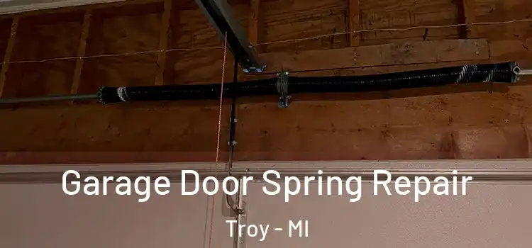  Garage Door Spring Repair Troy - MI