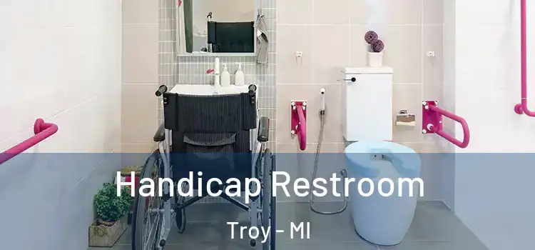  Handicap Restroom Troy - MI