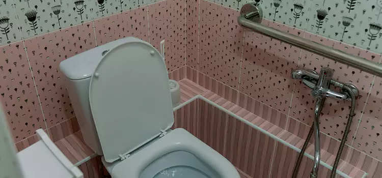 Meeting Diverse Needs With Accessible Restroom Solutions in Troy, MI