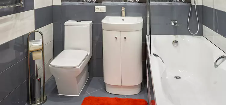 Hansgrohe Shaving Mirror Troy