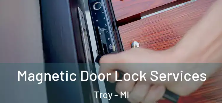  Magnetic Door Lock Services Troy - MI