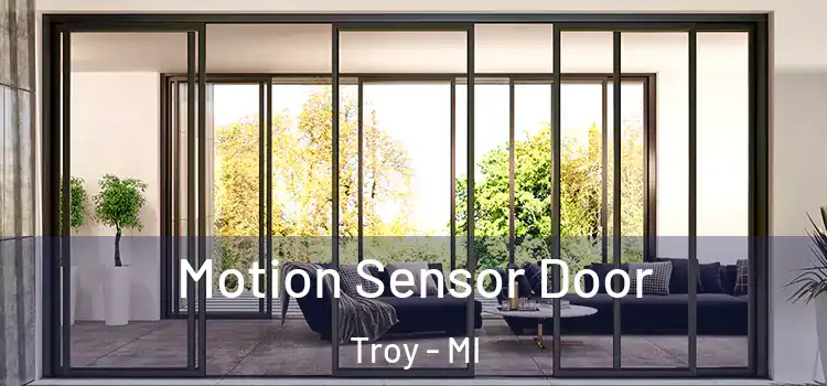  Motion Sensor Door Troy - MI