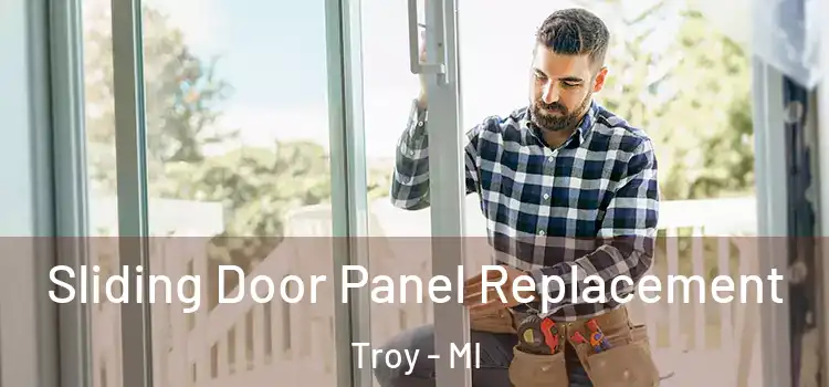  Sliding Door Panel Replacement Troy - MI
