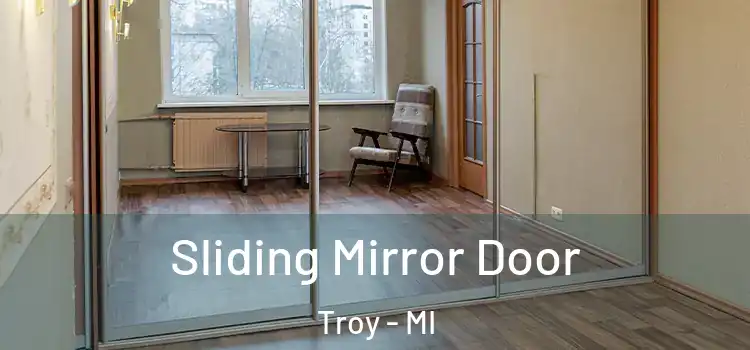  Sliding Mirror Door Troy - MI