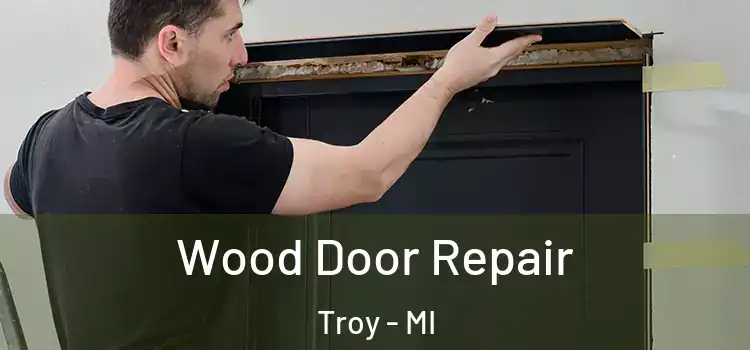 Wood Door Repair Troy - MI